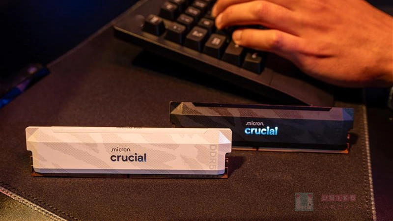 美光旗下最強電競記憶體 Crucial DDR5 Pro OC 6400 CL32 正式發表