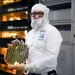 Intel 代工大豐收！AMD、NVIDIA、OpenAI 相繼卡位，EMIB 封裝良率衝上 98%